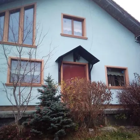Holiday home De Vacanta Amalia