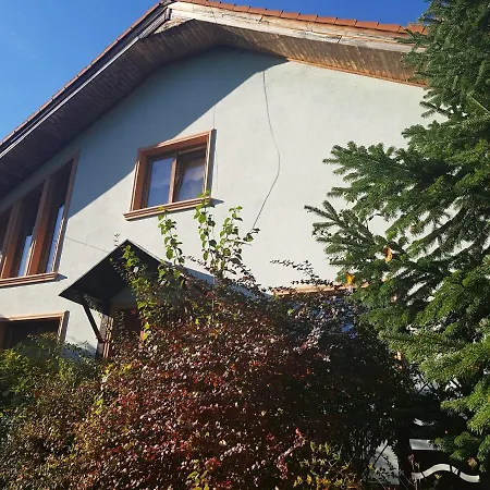 Holiday home De Vacanta Amalia