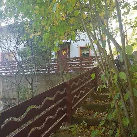 De Vacanta Amalia Holiday home