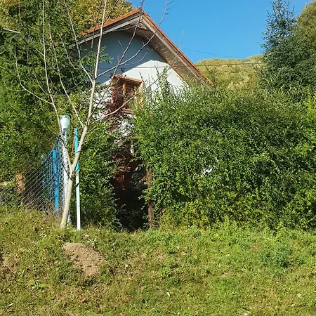 De Vacanta Amalia Holiday home